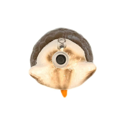 FERMID Funny 13cm/ 5.12in Handmade High Borosilicate Glass Gift